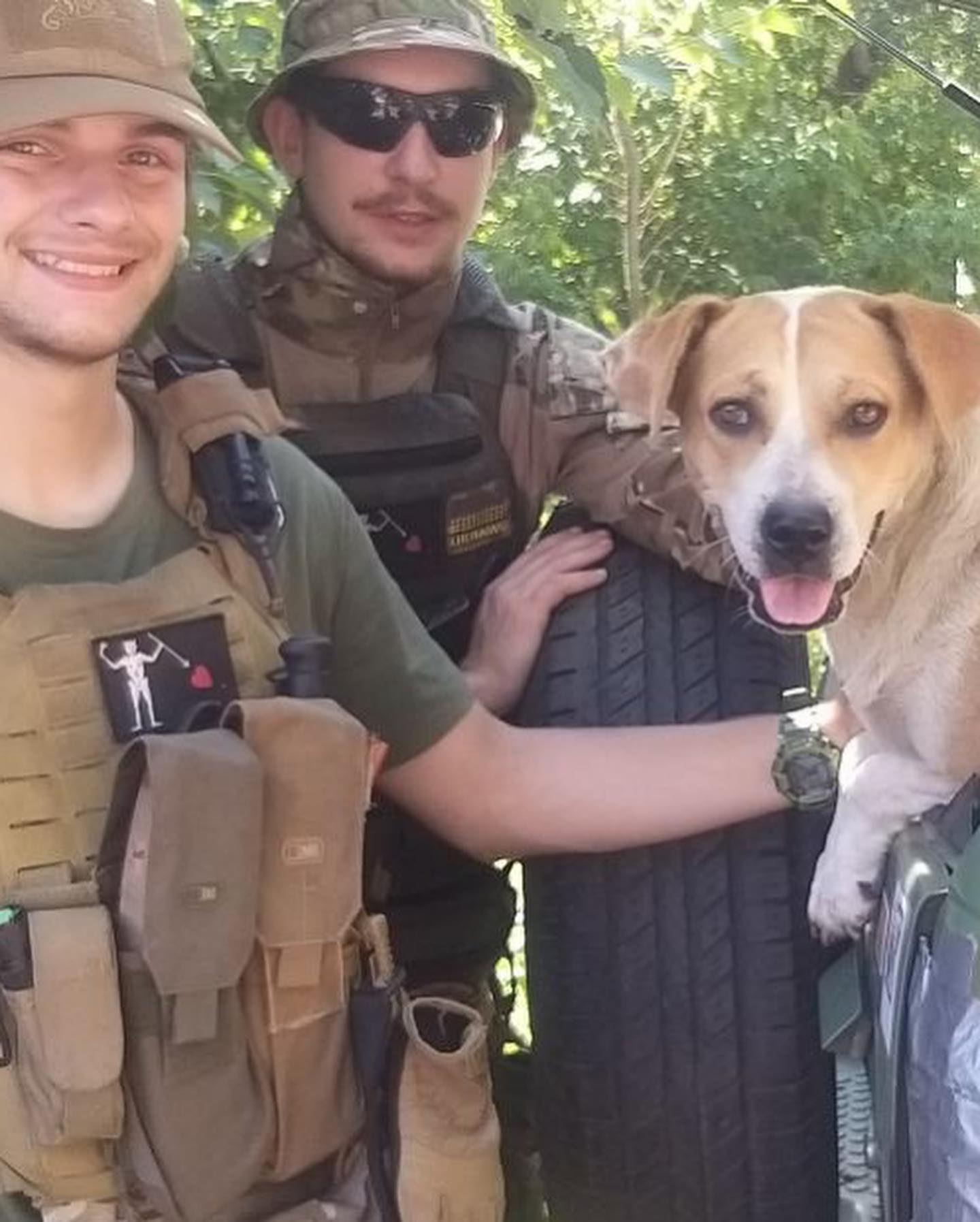 Собаку Айру приютили украинские военные  на позициях в Харьковской области