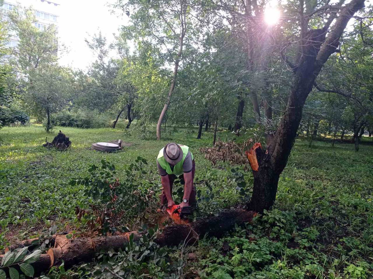 Разгул стихии в Харькове: буря повалила больше 20 деревьев (фото)