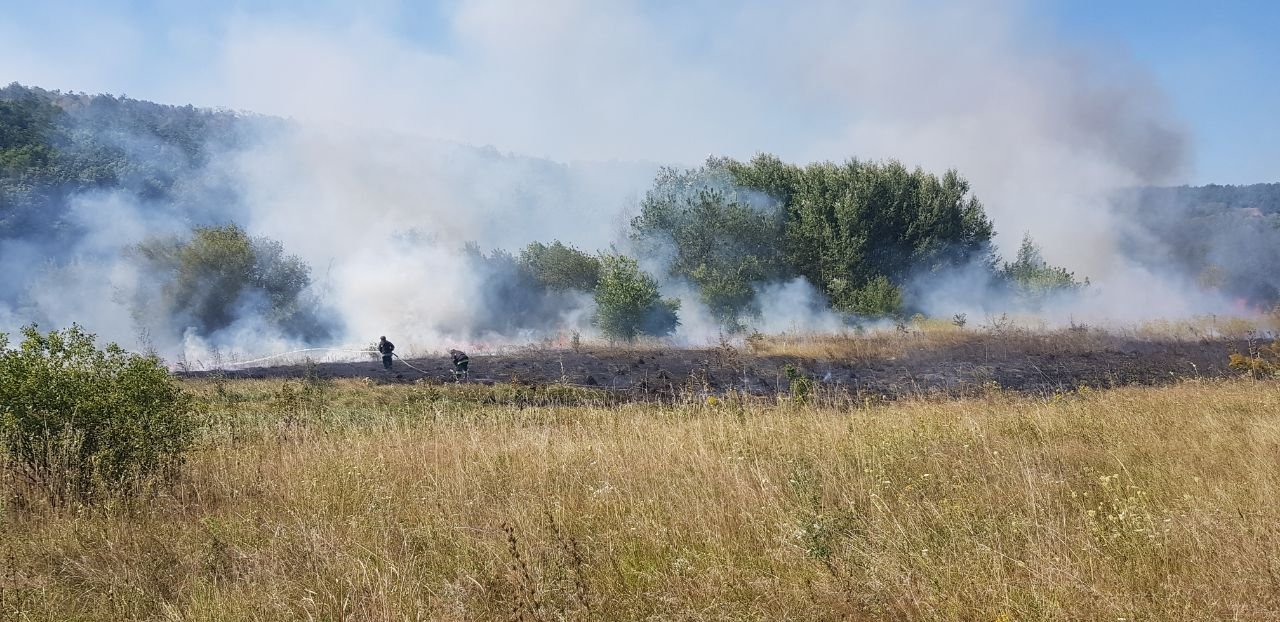 В Харьковской области из-за обстрелов горела трава на открытой территории