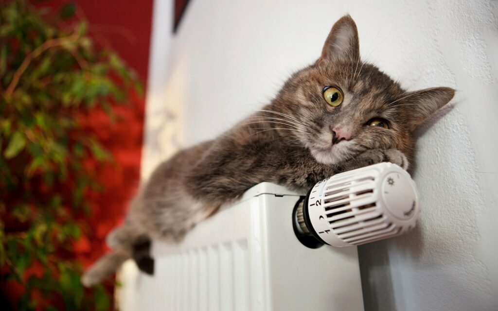 В Харькове отопление не подадут в 500 домов. Ситуация в других городах региона
