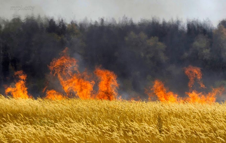 Армия РФ обстреляла сельхозпредприятие на Золочевщине — горят склады и поле пшеницы