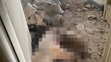 Обстрел Чугуева: снаряды прилетели в три микрорайона (подробности, фото)