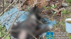 Убил отца и выбросил тело в канализацию: житель Харьковщины сядет на 10 лет