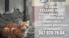 Харьковчанам будут раздавать корм для уличных котов