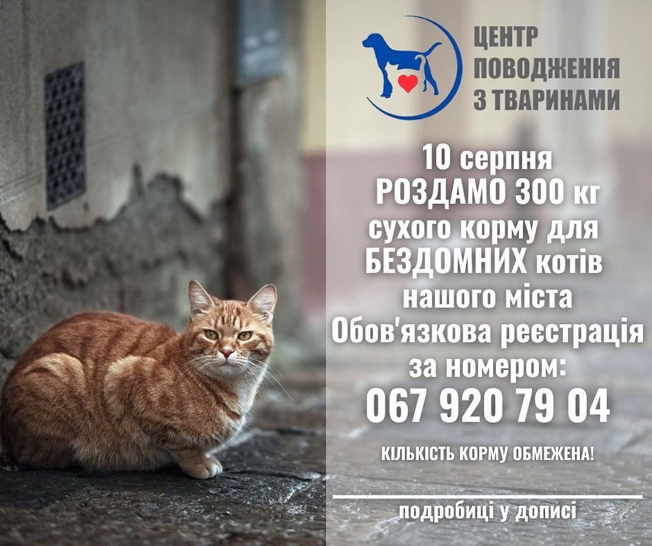 Харьковчанам будут раздавать корм для уличных котов