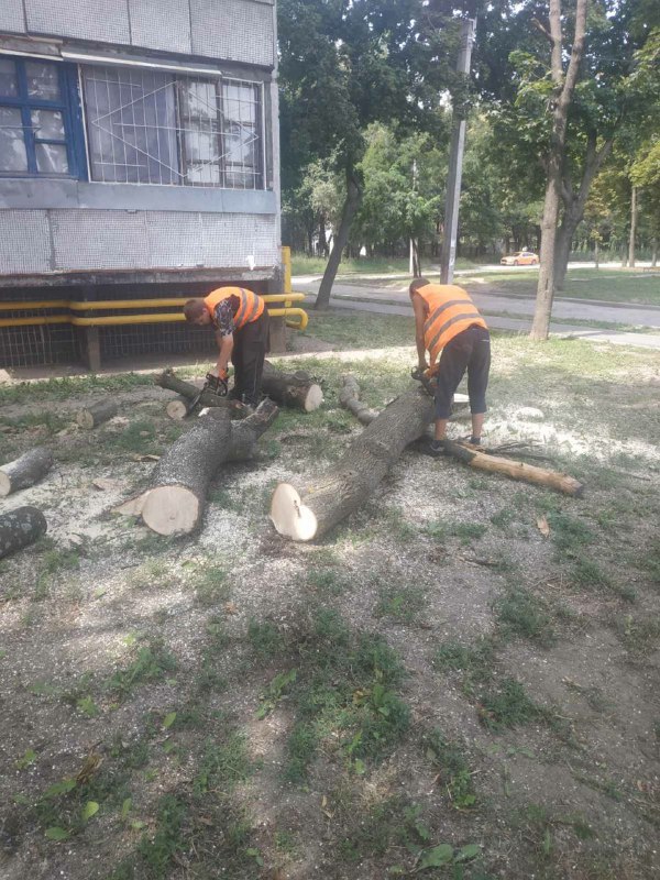 В Харькове кронируют уничтоженные обстрелами деревья во дворах жилых домов