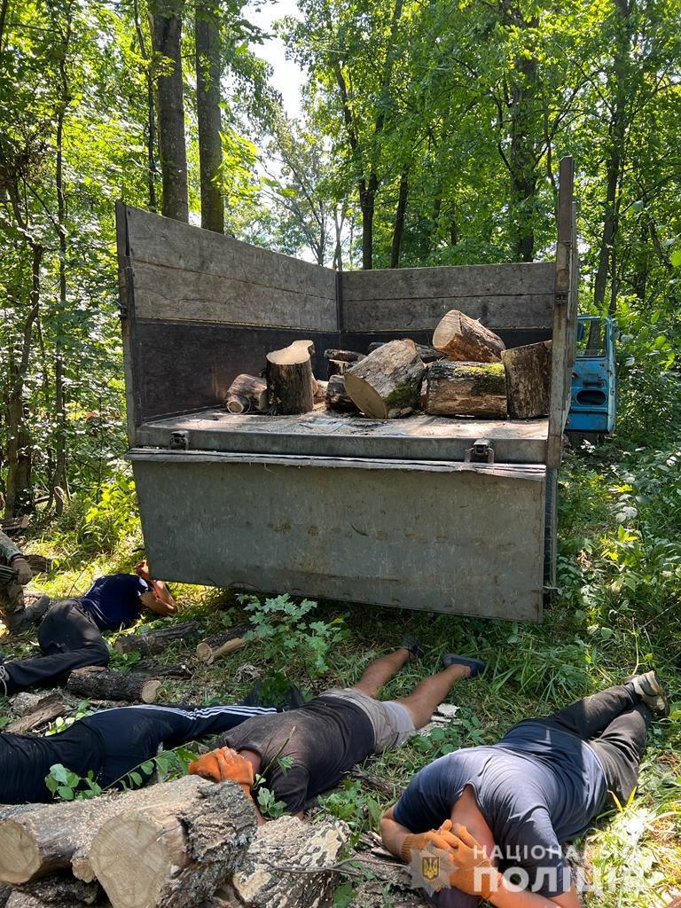 Жители Харькова пытались заготовить дрова и попались на незаконной вырубке