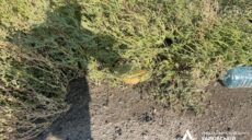 За добу вісім людей підірвалися на мінах у Чугуївському районі