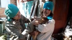 У Тимка все добре: співробітники біофаку пів року дбали про бабаків в окупації