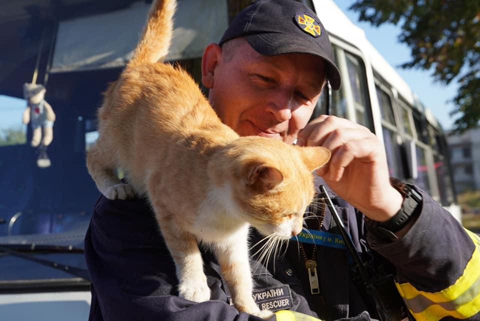 На Харьковщине местные кошки и собаки примкнули к бойцам сводного отряда ГСЧС