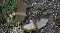 Харьковчан предупредили об опасности: птицы разносят мины