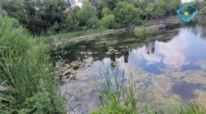 Творення серед хаосу війни: харків’яни кілька місяців розчищають озеро на Салтівці (відео)