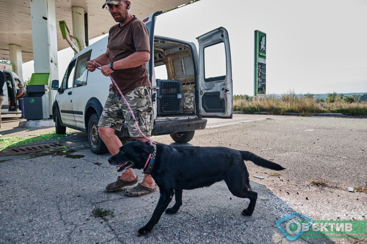 “Якщо собаку кинули у вольєрі або на ланцюгу – це труп” – зоозахисник із Харкова про порятунок кинутих тварин (фото)