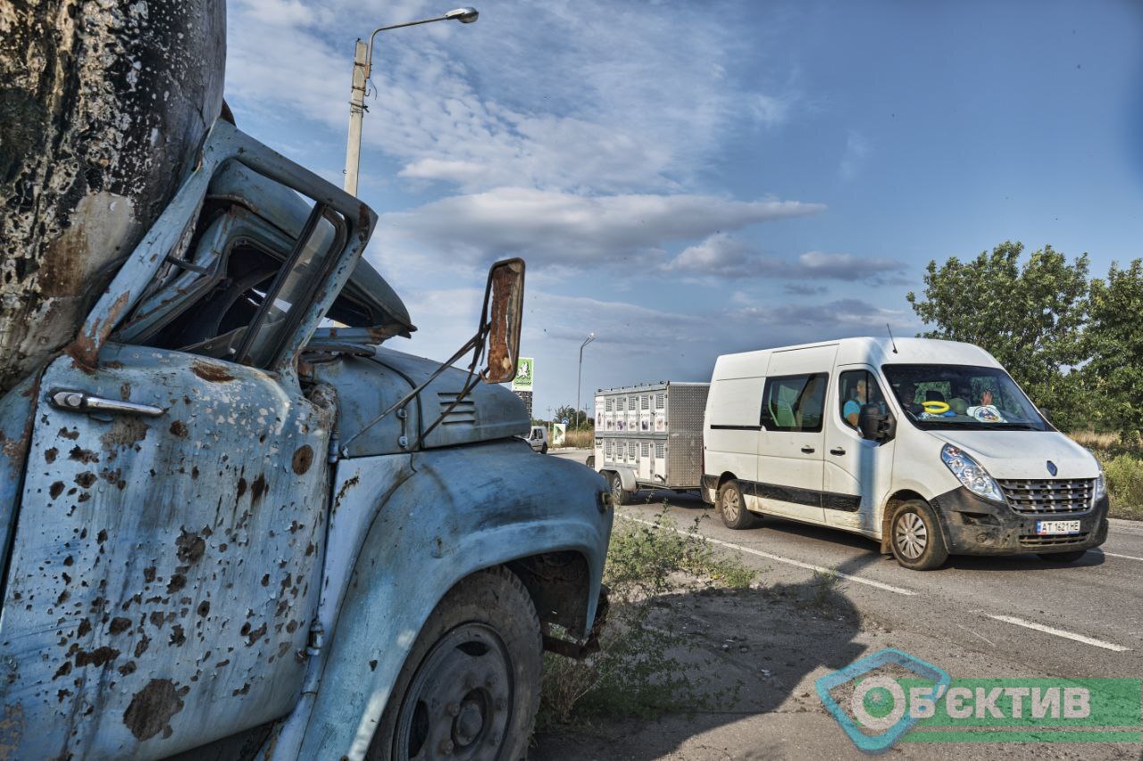 Зоозахисники на війні рятують собак