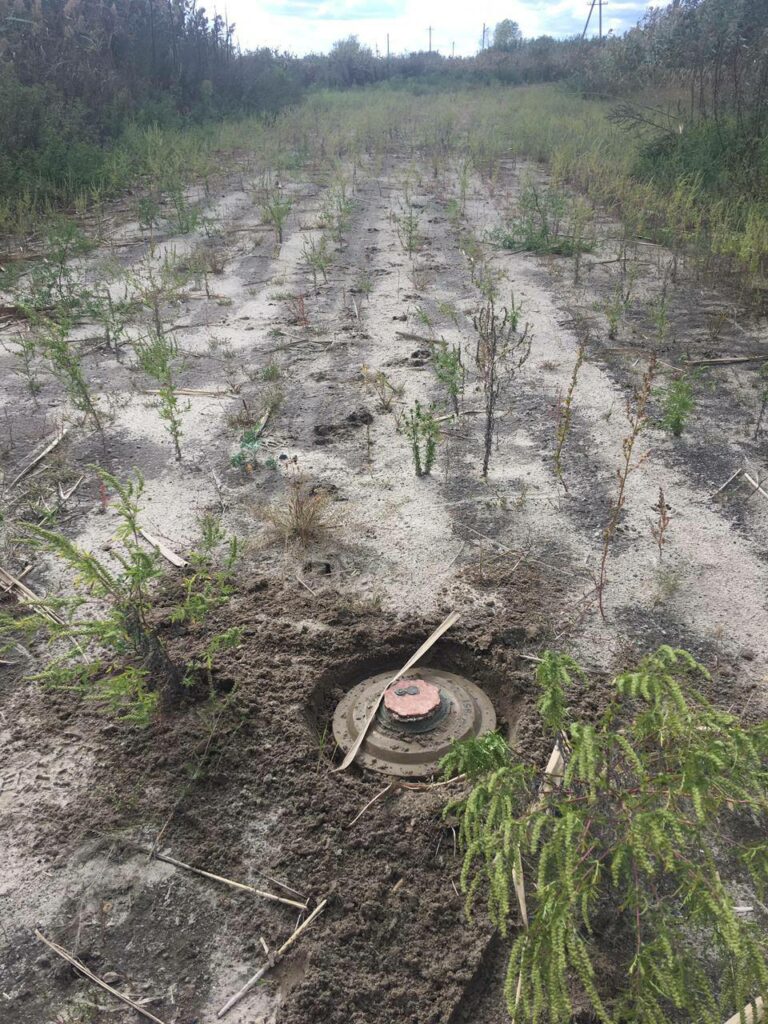 На Харківщині двоє людей підірвалися на мінах, збираючи гриби