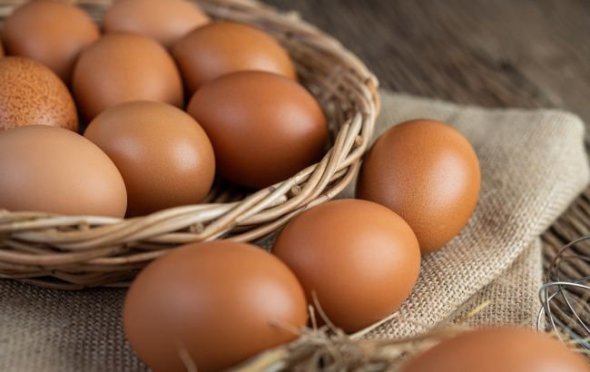 Харківський експерт прогнозує подорожчання яєць аж до грудня
