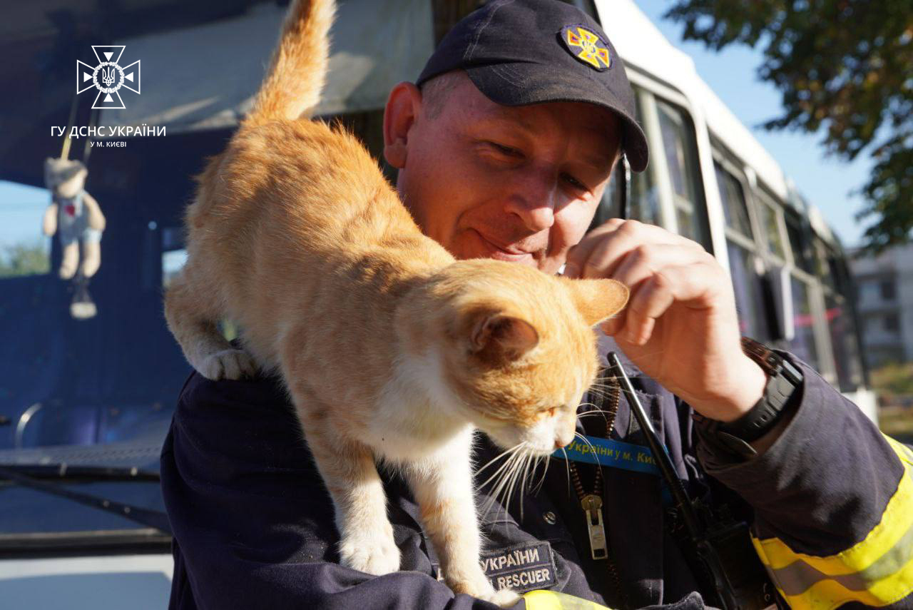 Боец ГСЧС и кот Изюм