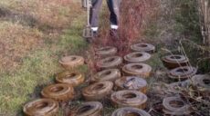 «Гибнет все живое!» Спасатели ГСЧС сняли заминированные поля на Харьковщине