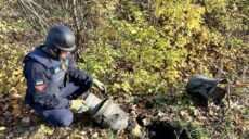 Більше 42 тисяч мін за 2,5 місяці піротехніки знешкодили на Харківщині – ДСНС