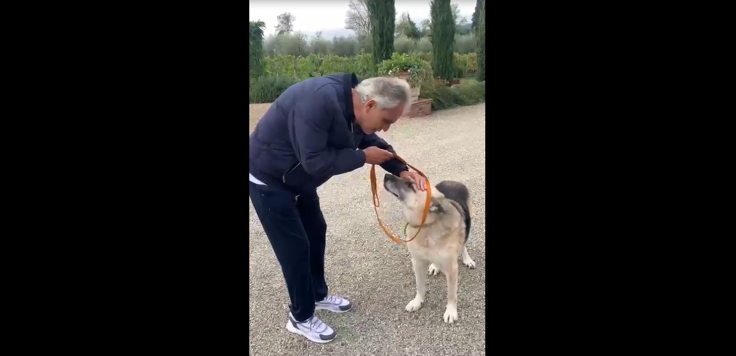 Итальянский певец Андреа Бочелли взял пса с Харьковщины, пережившего оккупацию