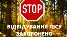 На Харьковщине временно запретили ходить в лес одной из громад