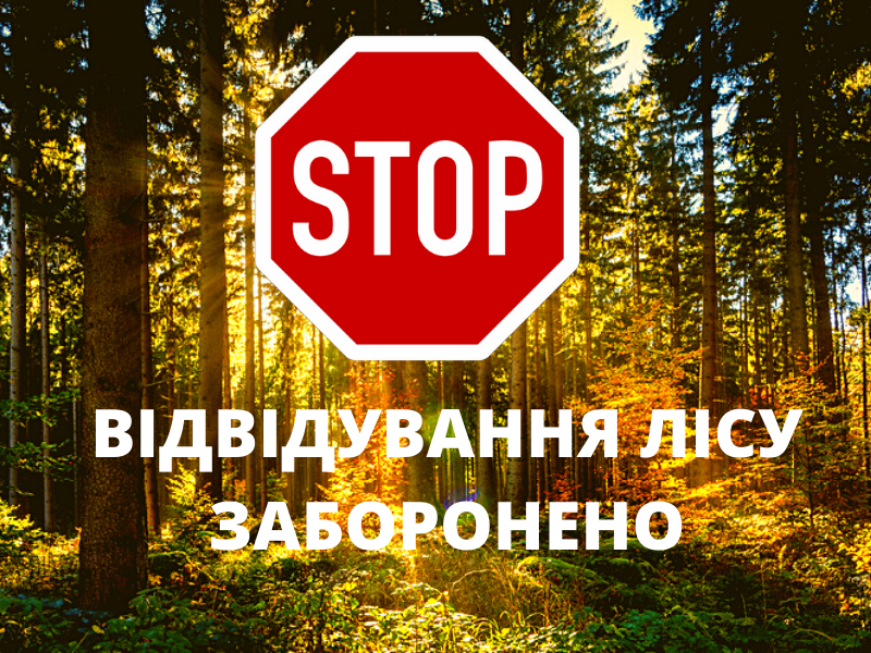 На Харківщині тимчасово заборонили ходити в ліс однієї з громад