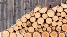 На бесплатные дрова претендуют 165 тысяч семей — распоряжение Синегубова