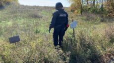 Понад 400 вибухонебезпечних предметів знайшли на Харківщині за добу