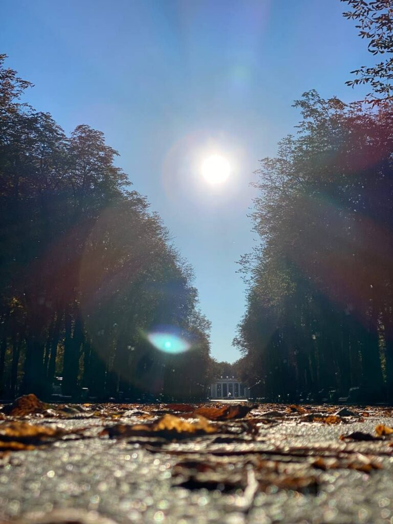 Осінь у Харкові: у парку Горького показали улюблені краєвиди (фото, відео)