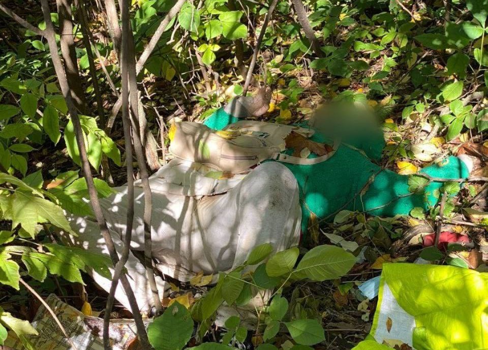 Розстріл автоколони на Куп’янщині: виявлено 25-ту жертву – літню жінку