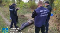 Три трупа гражданских нашли в освобожденном поселке Купянск-Узловой (фото)