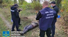 Три трупи цивільних знайшли у звільненому селищі Куп’янськ-Вузловий (фото)