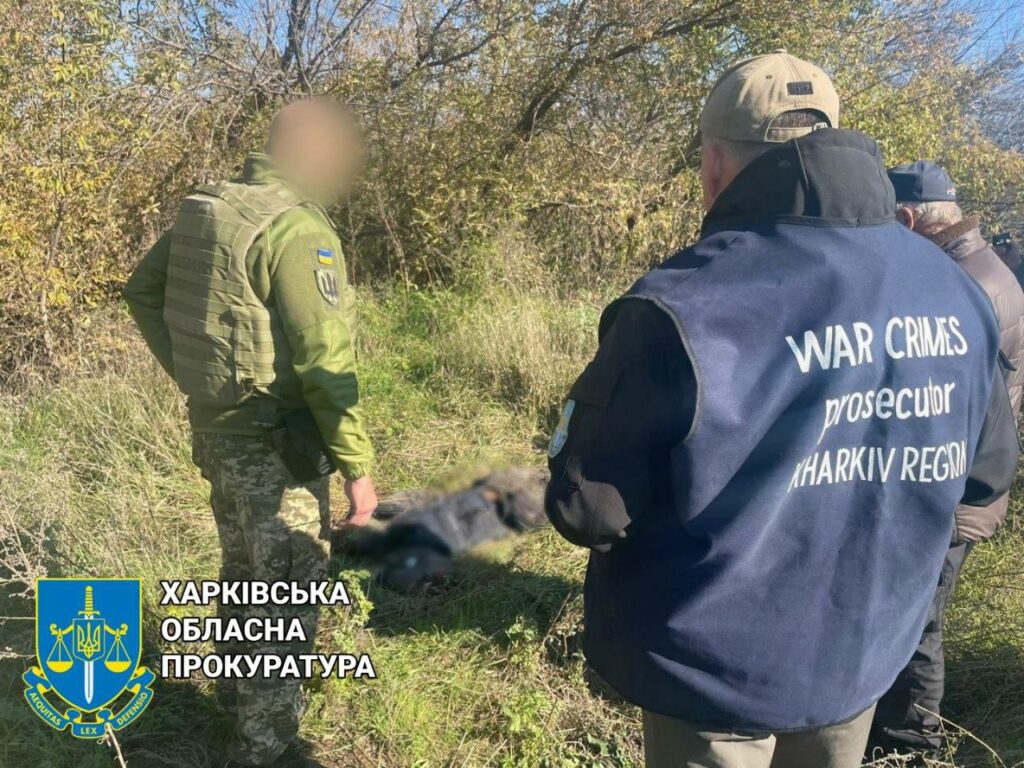 Розстріл автоколони під Куп’янськом: французи допомогли знайти важливі докази