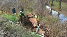 Розстріл авто на Харківщині: свідки розповіли подробиці (сюжет)