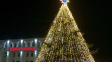 Нужна ли елка — мэр на Харьковщине проводит опрос, как праздновать Новый год