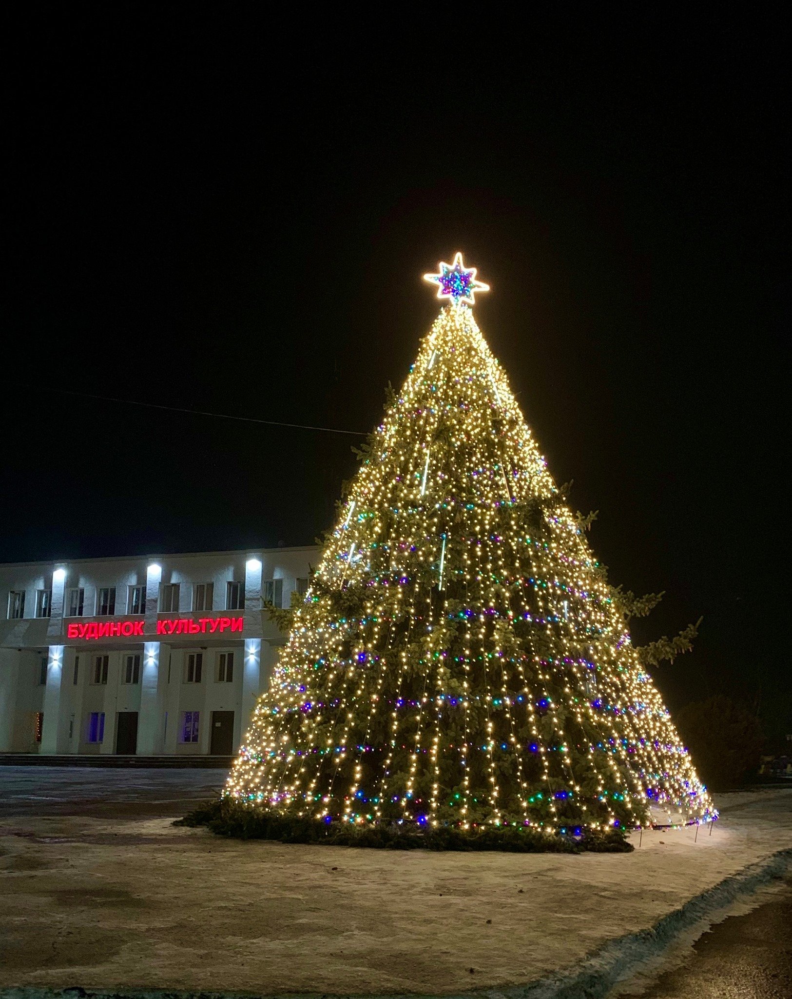 Нужна ли елка — мэр на Харьковщине проводит опрос, как праздновать Новый год