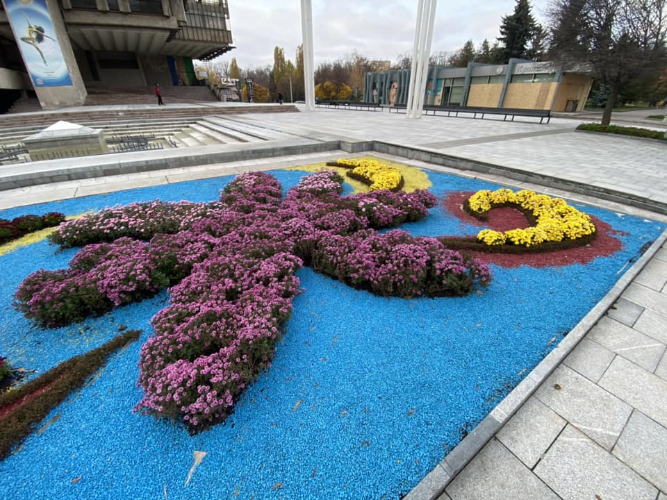 В Харькове высадили хризантемы во время войны 3
