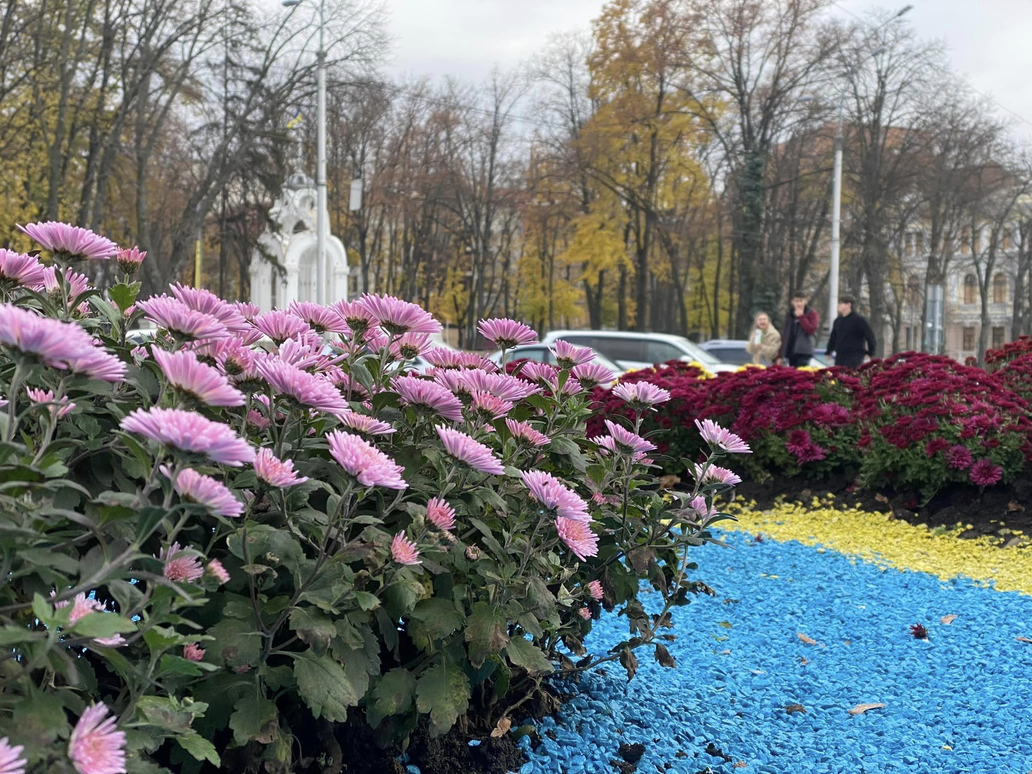 В Харькове высадили хризантемы во время войны 2
