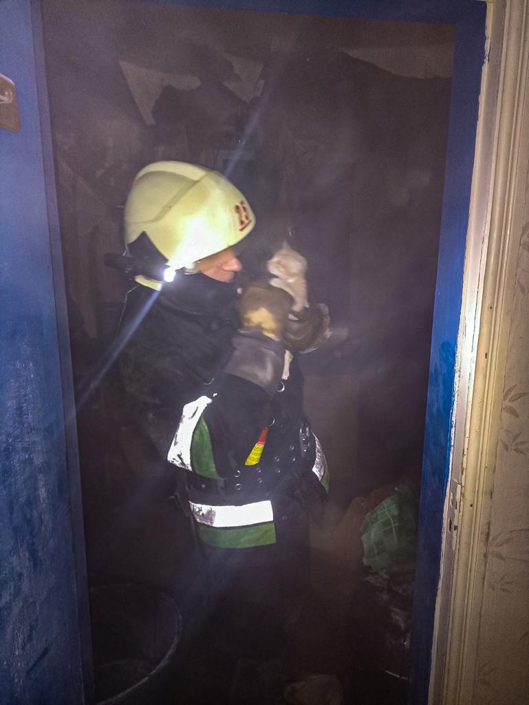 Пожежники врятували кошеня на Харківщині