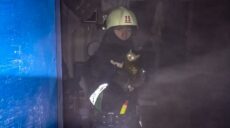 Рятувальники на Харківщині винесли з вогню кошеня (фото)