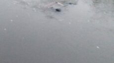 Машину діставали з річки лебідкою: ДСНС повідомила про смертельну ДТП в Ізюмі