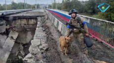 “Визволительниця Куп’янська”: історія собаки, що брала участь у зачистці міста
