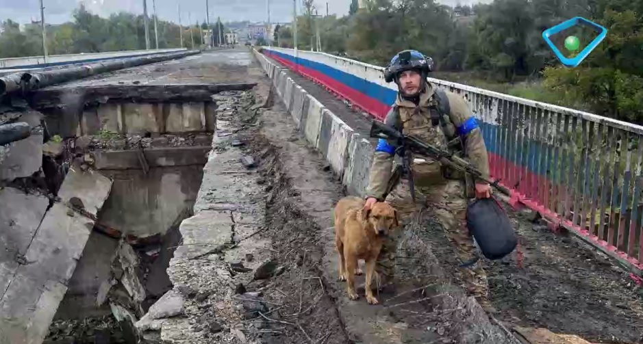 «Освободительница Купянска»: история собаки, участвовавшей в зачистке города