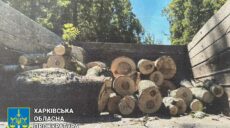 Двоє чоловіків з Полтавщини обманом рубали дерева на Харківщині