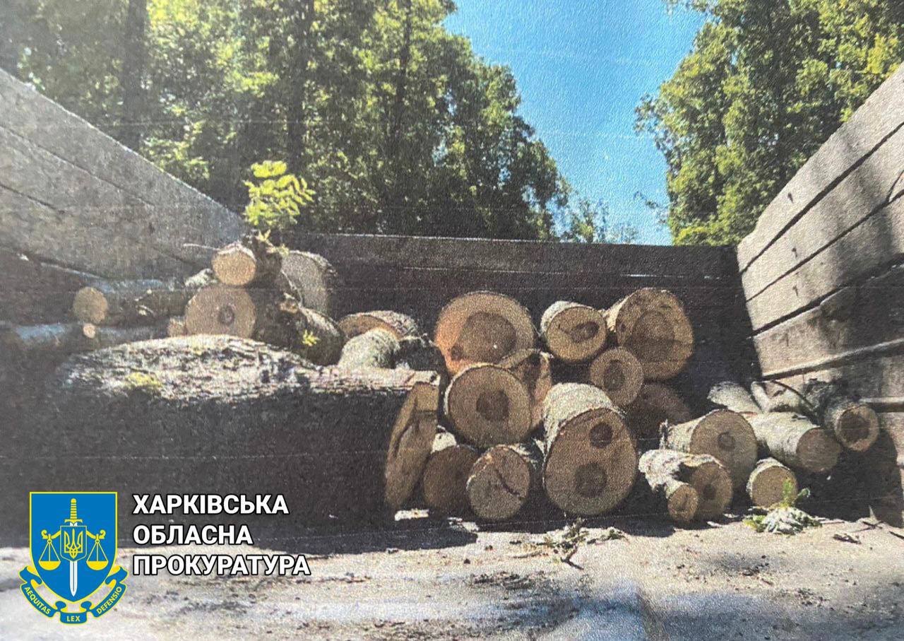 Двоє чоловіків з Полтавщини обманом рубали дерева на Харківщині