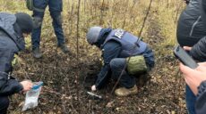 “Є парк Горького і сад Шевченка”: Терехов закликав не гуляти в лісопосадках