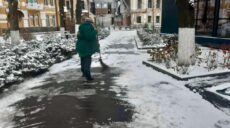 У парках та скверах Харкова розчищають сніг (фото)