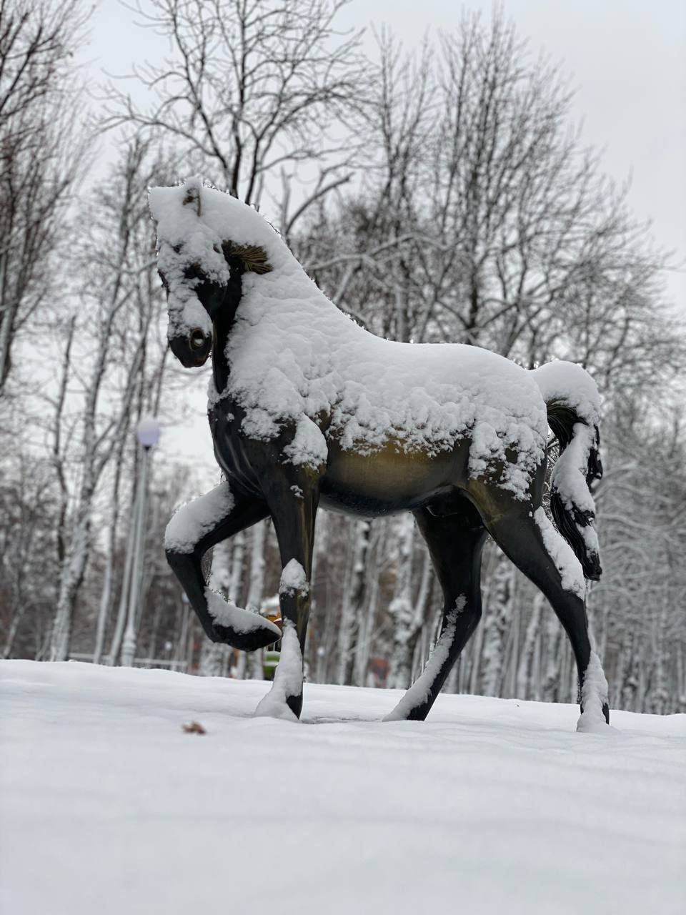 Парк Горького в снегу в Харькове 3