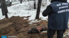 На Куп’янщині ексгумували тіла двох розстріляних окупантами чоловіків (фото)