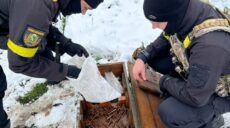 За рік поліція на Харківщині вилучила 30 тисяч боєприпасів